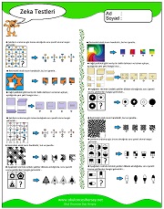 Zeka Gelişim Testleri